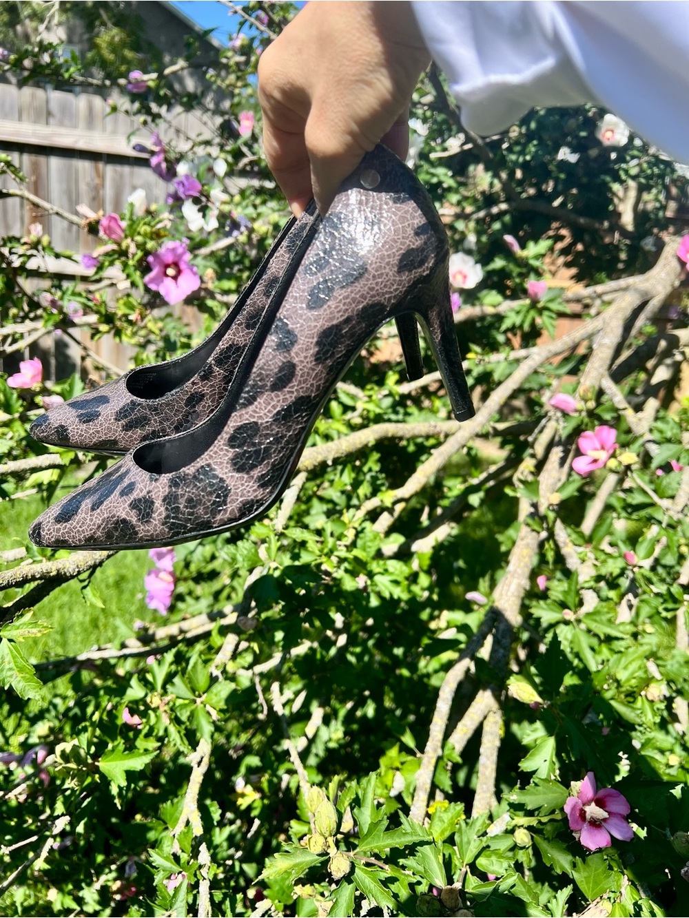 NWOB Calvin Klein Pointed Toe Leopard Animal Print Pumps Heels Stiletto 7.5 cat